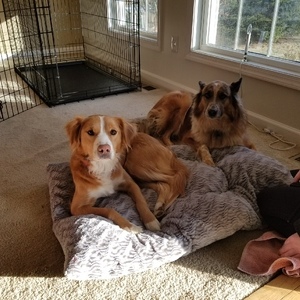 Fundraising Page: Lindsay Taylor